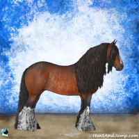 Horse Color:Brown Rabicano  and Brown 