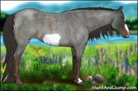 Horse Color:Liver Red Roan Frame 