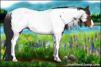 Horse Color:Brown Tobiano Near Fewspot 