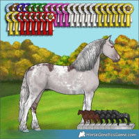 Horse Color:Chocolate Silver Grullo Chinchilla Tobiano 