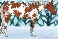 Horse Color:White Spotted Silver Buckskin 