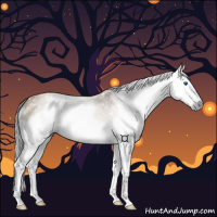 Horse Color:Gray Bay Dun Splash