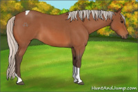 Horse Color:Silver Bay Roan Tobiano 