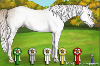 Horse Color:Gray Silver Classic Cream Champagne Sabino Splash 
