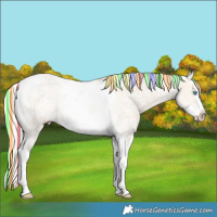 Horse Color:Painted Silver Perlino Ice Dun Sabino Splash Tobiano 