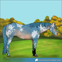 Horse Color:Watercolor Bay Ice Tobiano 