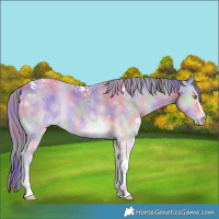 Horse Color:Nacre Perlino Onyx Sabino Tobiano Rabicano 