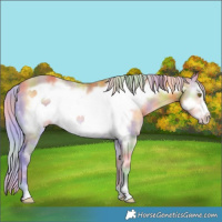 Horse Color:Nacre Silver Sable Cream Champagne Onyx Frame 