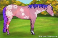 Horse Color:Watercolor Bay Ice Dun Tobiano Rabicano 