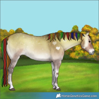 Horse Color:Painted Bay Onyx 