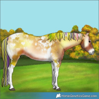 Horse Color:Painted Bay Onyx Tobiano 