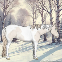 Horse Color:Smoky Creme Roan Tobiano Rabicano 