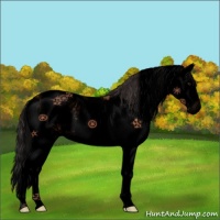 Horse Color:Void Buckskin Sabino Splash
