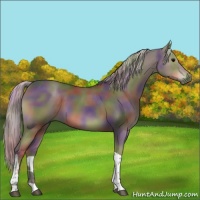 Horse Color:Nacre Silver Black Tobiano 