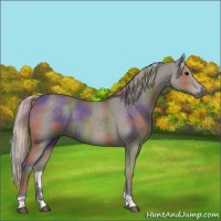 Horse Color:Nacre Silver Black Tobiano 