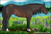 Horse Color:Brown 