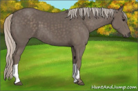 Horse Color:Silver Black 