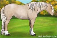 Horse Color:Silver Blue Roan Pearl Tobiano Frame 