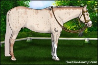 Horse Color:Silver Sable Champagne Dun 