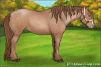 Horse Color:Brown Pearl