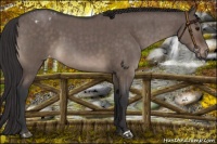Horse Color:Brown Roan Dun Varnish Brindle 