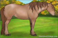 Horse Color:Brown Pearl