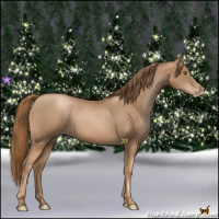 Horse Color:Liver Chestnut Pearl 