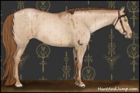 Horse Color:Liver Red Dun Pearl 