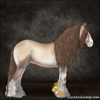 Horse Color:Blue Onyx Pearl Sabino Rabicano 