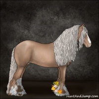 Horse Color:Silver Black Pearl Sabino Rabicano 