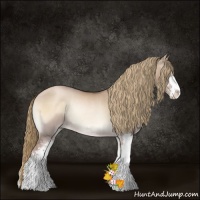 Horse Color:Liver Red Dun Pearl Onyx Sabino Rabicano 