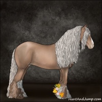 Horse Color:Silver Black Pearl Sabino Rabicano
