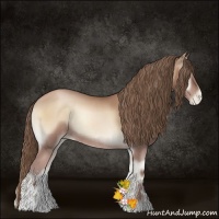 Horse Color:Blue Onyx Pearl Sabino Rabicano 