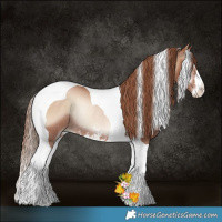 Horse Color:Blue Onyx Pearl Sabino Tobiano Rabicano 