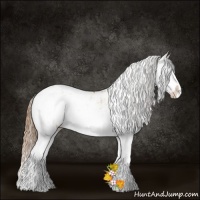 Horse Color:Bay Pearl Sabino 