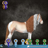 Horse Color:Brown Pearl Onyx Sabino Tobiano