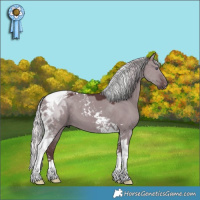 Horse Color:Chocolate Silver Grullo Chinchilla Tobiano 