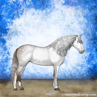 Horse Color:Gray Chestnut 
