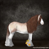 Horse Color:Bay Ice Pearl Onyx Sabino Splash 
