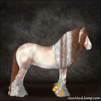 Horse Color:White Spotted Bay Pearl Onyx Sabino Rabicano 