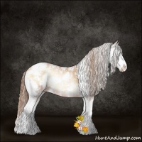 Horse Color:Bay Pearl Onyx Sabino Rabicano