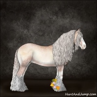 Horse Color:Silver Bay Ice Pearl Onyx Sabino Splash Rabicano