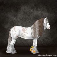 Horse Color:Black Ice Pearl Sabino Splash Rabicano 