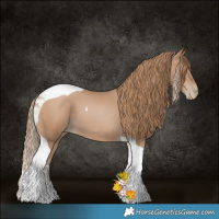 Horse Color:Black Pearl Tobiano 