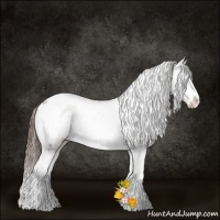 Horse Color:Brown Pearl Onyx Sabino Splash Rabicano 