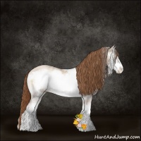 Horse Color:Smoky Blue Onyx Ice Pearl Sabino Frame 