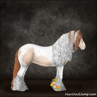 Horse Color:Sable Champagne Pearl Tobiano 