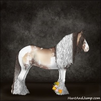 Horse Color:White Spotted Blue Onyx Pearl Tobiano