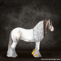 Horse Color:White Spotted Brown Pearl Onyx Tobiano Rabicano