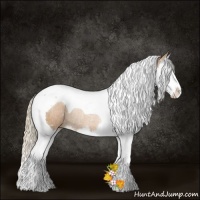 Horse Color:Chestnut Pearl Splash Tobiano Rabicano 